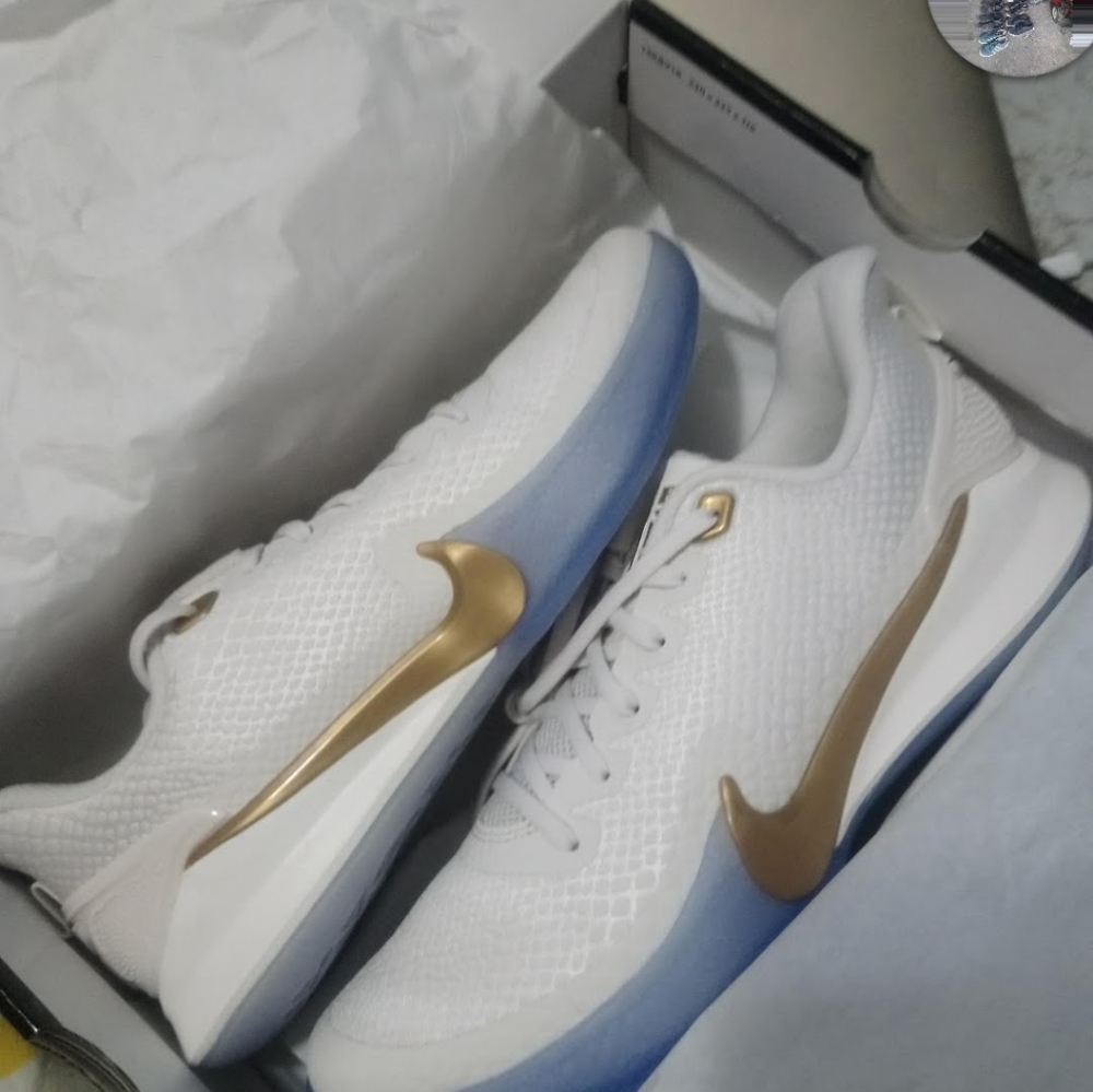 Mamba focus - Picture 2 of 4